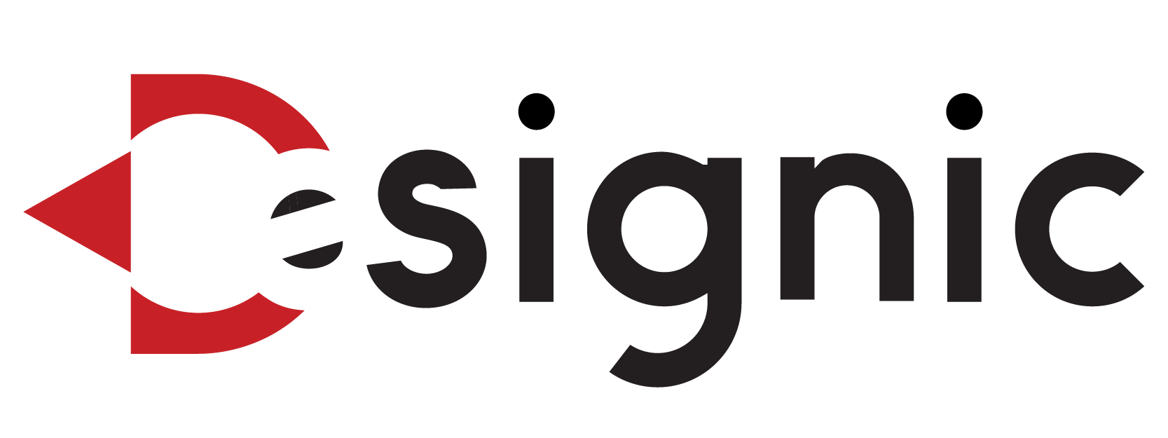 Designic Solutions-Digital Marketing Agency in Pakistan